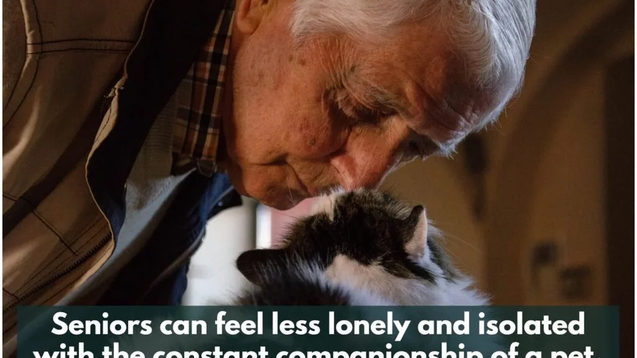 Close up on a plate of mashed potatoes, topped with baked pork chops with cream of mushroom soup, and a side of green beans.