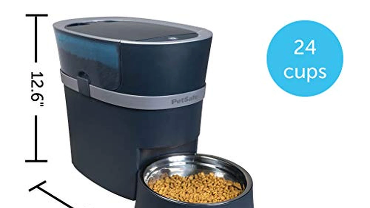 Close up on a plate of mashed potatoes, topped with baked pork chops with cream of mushroom soup, and a side of green beans.